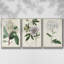 Garden Gems VII, ensemble de 3 toiles encadrées-97792700-97792698