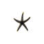 4 Piece Starfish Wall Décor Set-369482677