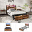 Metal Bed