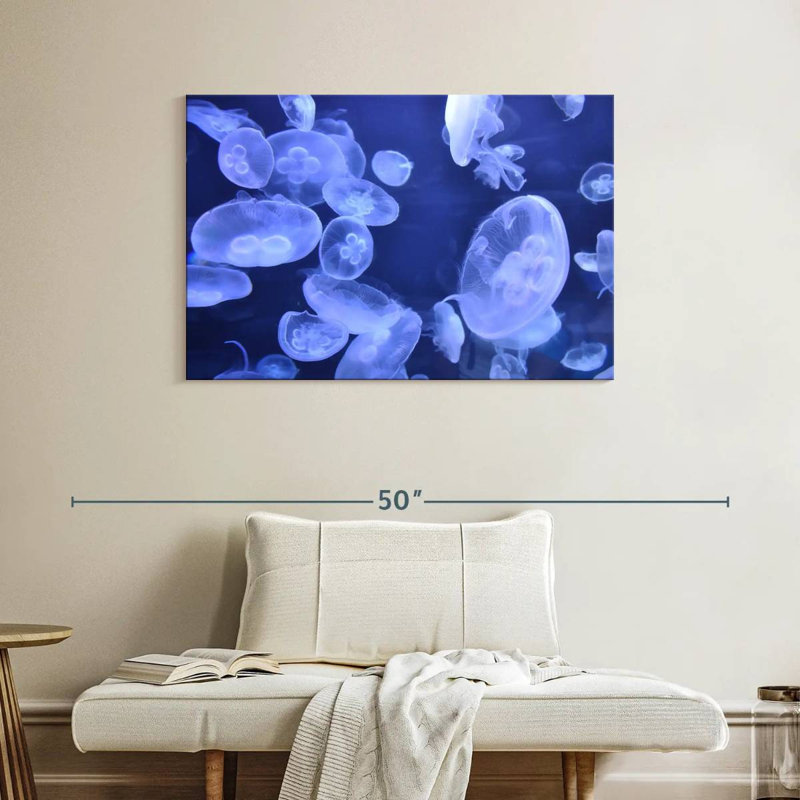 Sea Jellies, 26" H x 39" W