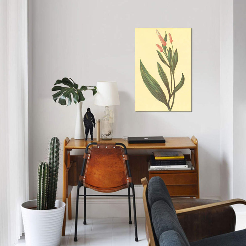 «Water Knotweed», reproduction sur toile, H 26 po x l 18 po x P 1,5 po, Pas de tapis, Toile tendue