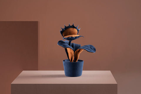Dionée attrape-mouche Mini bleue avec terre cuite, Bleu et terre cuite