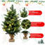 1.97' H Lighted Artificial Fir Christmas Tree