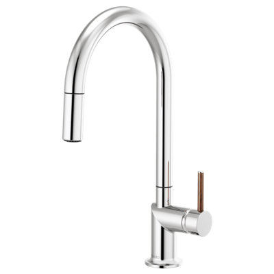 Odin® Pull-Down Faucet with Arc Spout