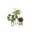 Vivi Plant Stand