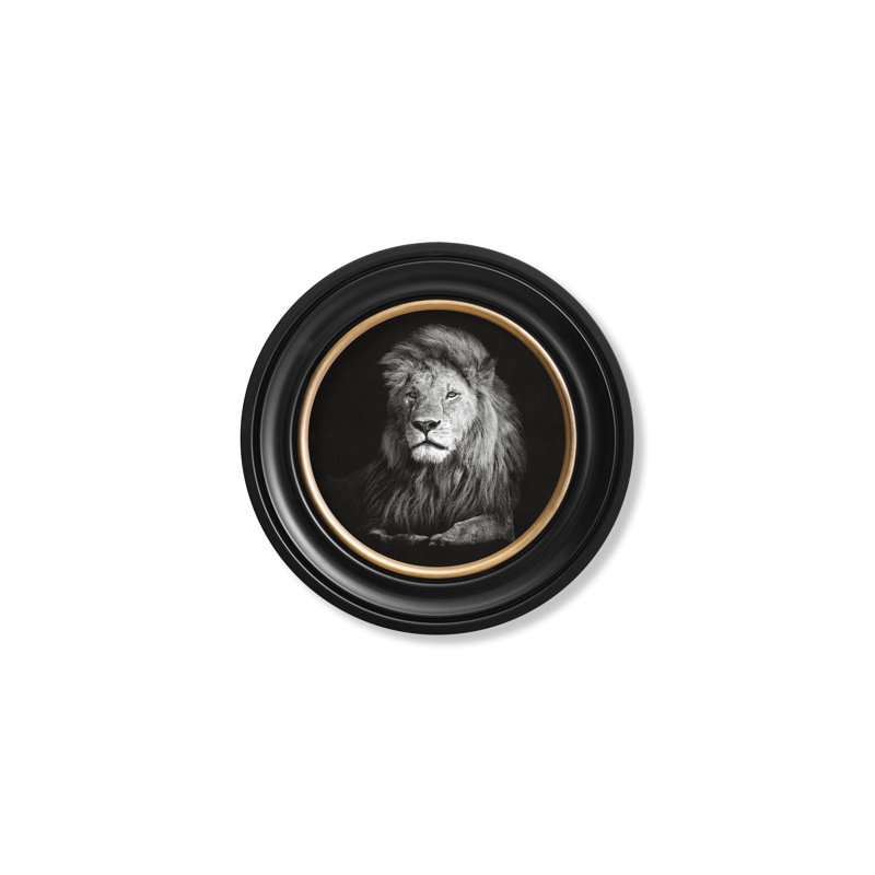 Lion by Mid-1800s - Single Picture Frame Print on Archival Matt 230gsm Paper