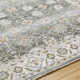 Delyse Oriental Machine Made Power Loomed Polyester Area Rug in Olive/Gold/Beige/Gray