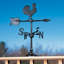 Rooster 24 in. H Aluminum Animals Weathervane