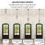 3-light Modern Chandeliers