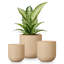 HDHPOT Ceramic Pot Planter-1607730068