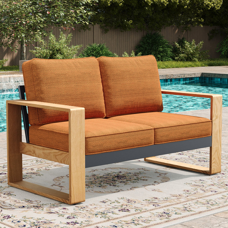 137.9cm Wide Loveseat with Cushions, Orange