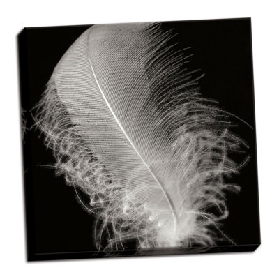 " Feather IV " by Jim Christensen