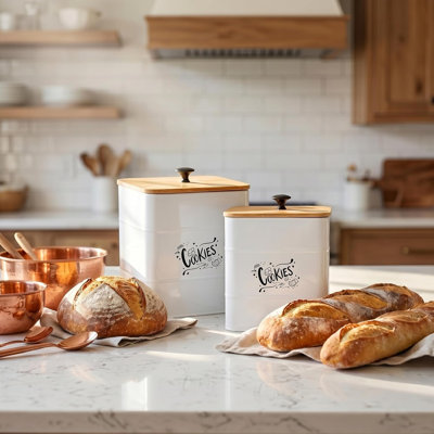 Pots à biscuits en métal de 2 tailles avec couvercle, boîtes de biscuits à bonbons blancs de 101 et 54 oz, contenants de rangement décoratifs pour aliments, boîte à biscuits rétro avec grande ouverture pour comptoir de cuisine, garde-manger, cadeau