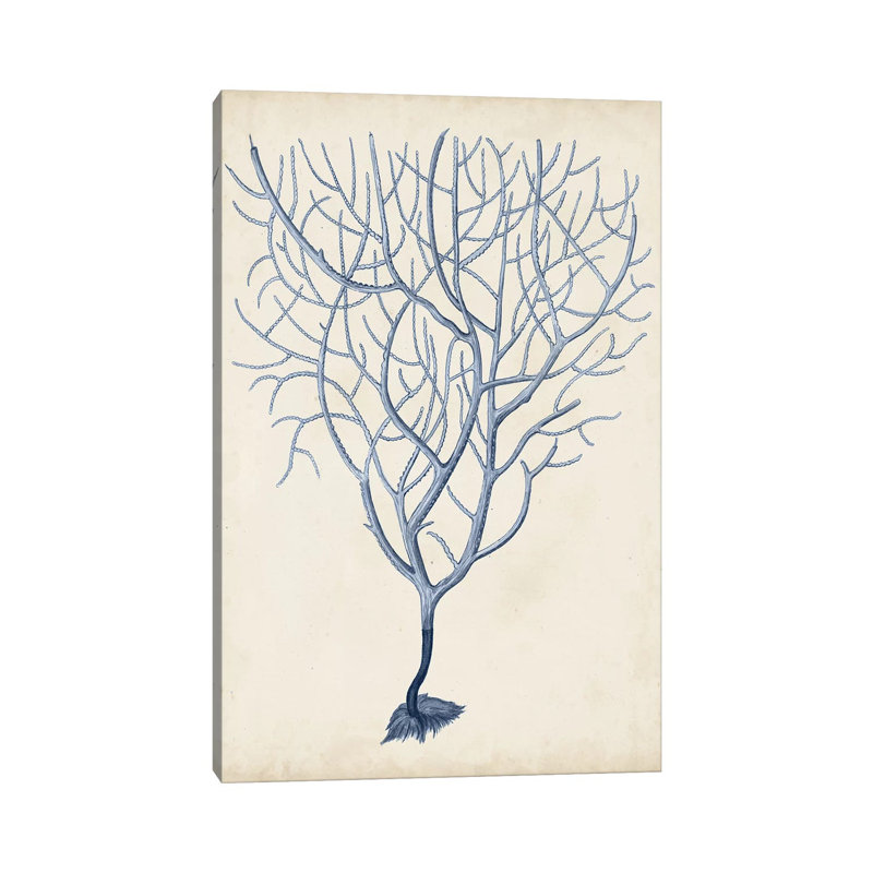 Indigo Coral III by Vision Studio - Wrapped Canvas Print, 101.6 cm H x 66.04 cm W x 1.91 cm D