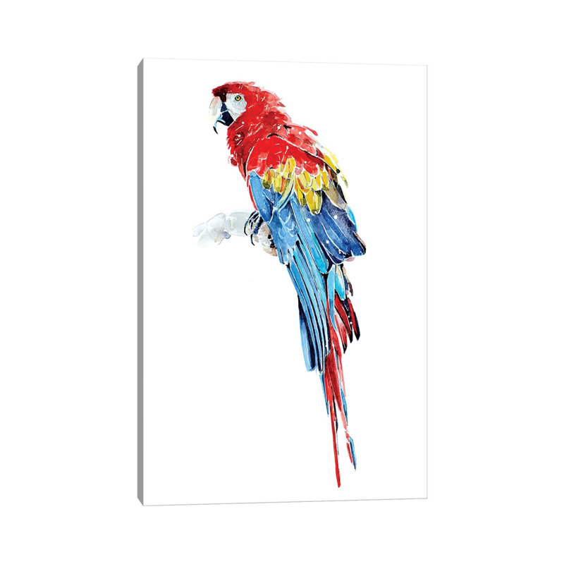 Macaw by EdsWatercolours - Wrapped Canvas Painting