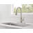 Peerless Flute Ceramic Valve Kitchen Faucet-72531451-72531450