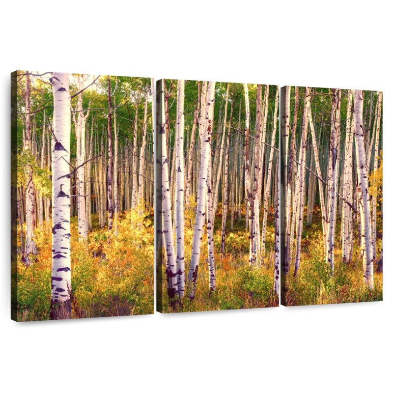 Alvord Aspen Grove en automne I, H 32 po x l 50 po