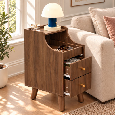 Analiesa 11.8"W End Table, Side Table With Open Shelf, Living Room End Tables & Side Tables, Narrow End Table, Wood Nightstand with 2 Drawers