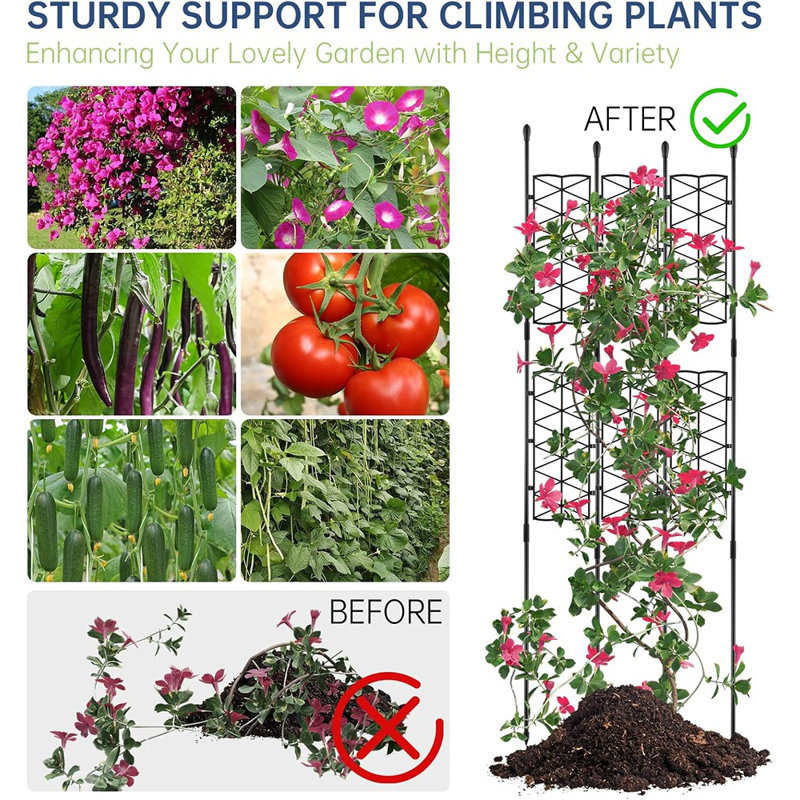 Paquet de 6 treillis de jardin de 50 pouces pour plantes grimpantes