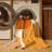 Machine Washable Klein Orange Modern & Contemporary Rug in Brown – LightBrown Binding-419346103