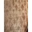 Modern Wool Area Rug in Brown-26573149