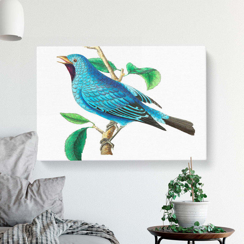 Blue Chatterer Bird by George Shaw - Wrapped Canvas, 35cm H x 50cm W x 3cm D