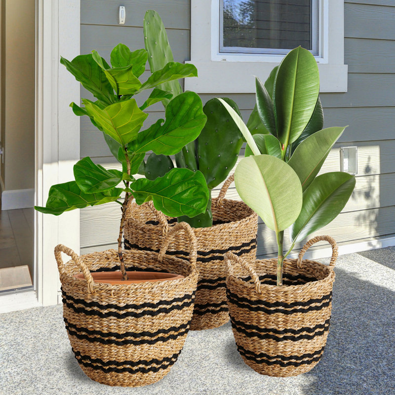 Ameera 3 Piece Woven Wicker Baskets