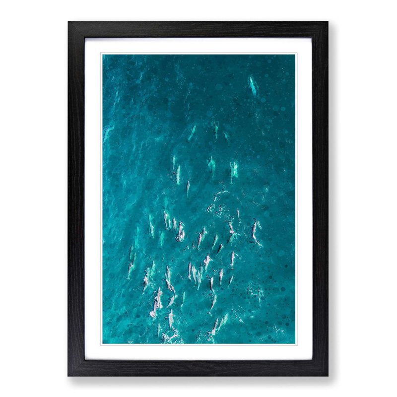 Many Dolphin in Abstract - Picture Frame Graphic Art Print, 76cm H x 50cm W x 2cm D, Black