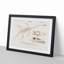 Plesiosaurus Illustration by Charles d' Orbigny - Picture Frame Painting Print-55601252-55601255