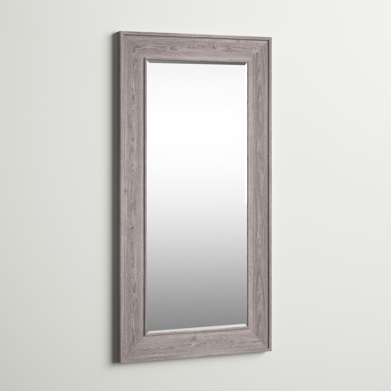 Miroir de salle de bain Hoggan, 48 po x 24 po