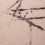 One-of-a-Kind 8'2" X 9'10" Hand Knotted Area Rug