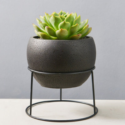 Brimage Ceramic Pot Planter