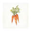 «Veggie Market V Carrots» par Anne Tavoletti - peinture sur toile tendue-660021928