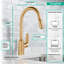 Robinet de cuisine Focus N HighArc avec 2 jets rétractables, 1,75 gal / min-55158307