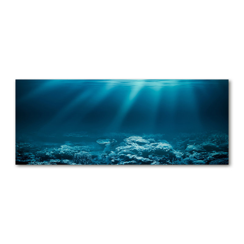 Underwater World - No Frame Print on Glass, 70cm H x 100cm W x 4cm D, Glass