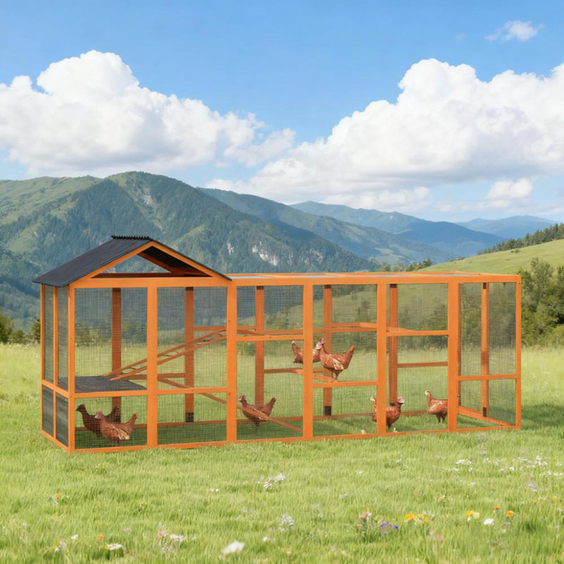 Poulailler en bois pour 6 à 10 poules