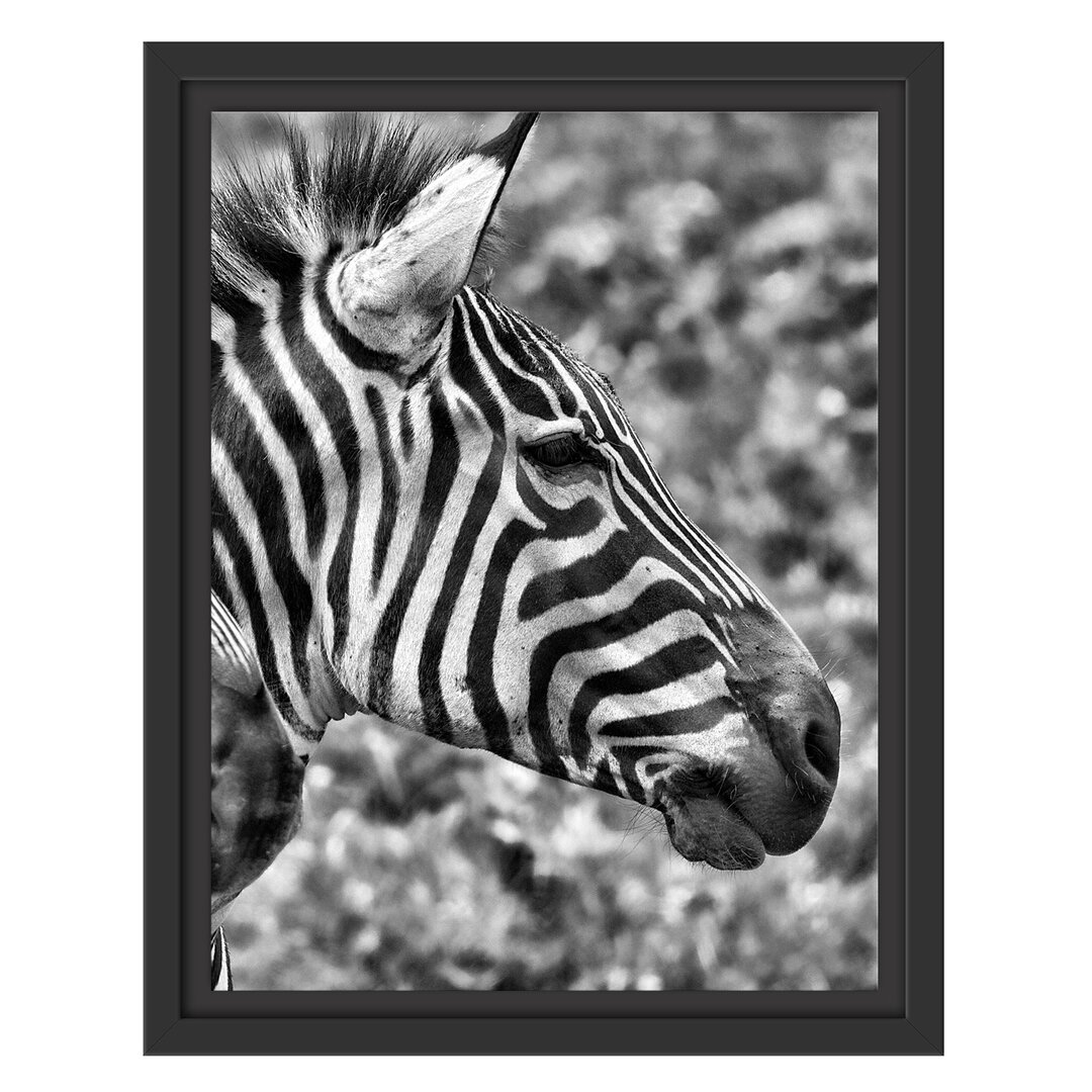 Gerahmtes Wandbild schönes Zebrapaar