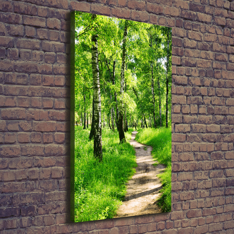 Birch Forest - Wrapped Canvas Print