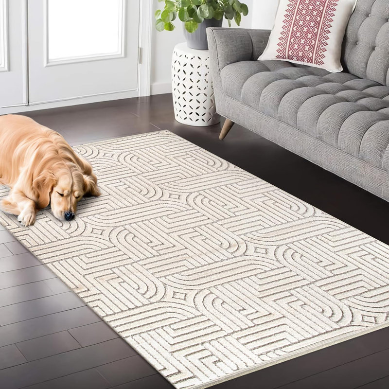 Non Slip Area Rugs Soft Carpet Pad Entryway Rug Indoor Modern Mat Low Pile Rug for Bedroom - TR003, Rectangle 120 x 180 cm 