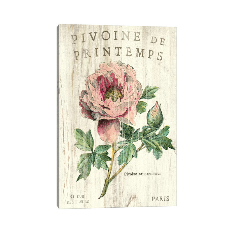 Pivoine de printemps par Sue Schlabach-impression d’art graphique, Toile tendue, H 40 po x l 26 po x P 1,5 po