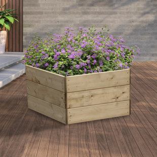 Pentagonal Raised Bed - 60cm each side, Height 45cm