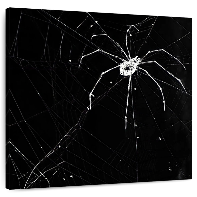 Brampt Halloween Spider