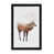 Black Floater Framed is unavailable