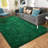 Shag Area Rugs for Living Room, 5x7 ft Soft Fluffy Rugs for Bedroom, Nursery, Kids Room Home Decor, Dark Green-2071475027