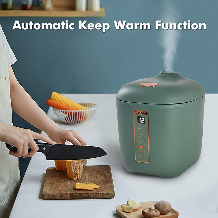 Mini Rice Cooker with Keep Warm
