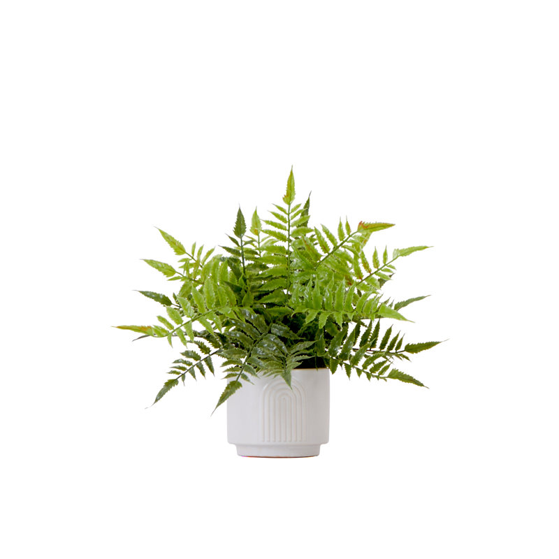 13'' Artificial Boston Fern in White Ceramic Planter