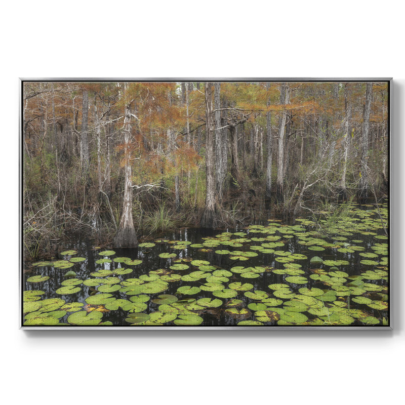 Bayou Fall, reproduction d'art sur toile, H 27 po x l 41 po x P 2 po, Argent
