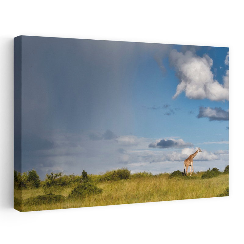 Contemporary Art Contemporary Giraffe Nature Wildlife Wall Art by Carolina Garcia-Paris - Wrapped Canvas Print