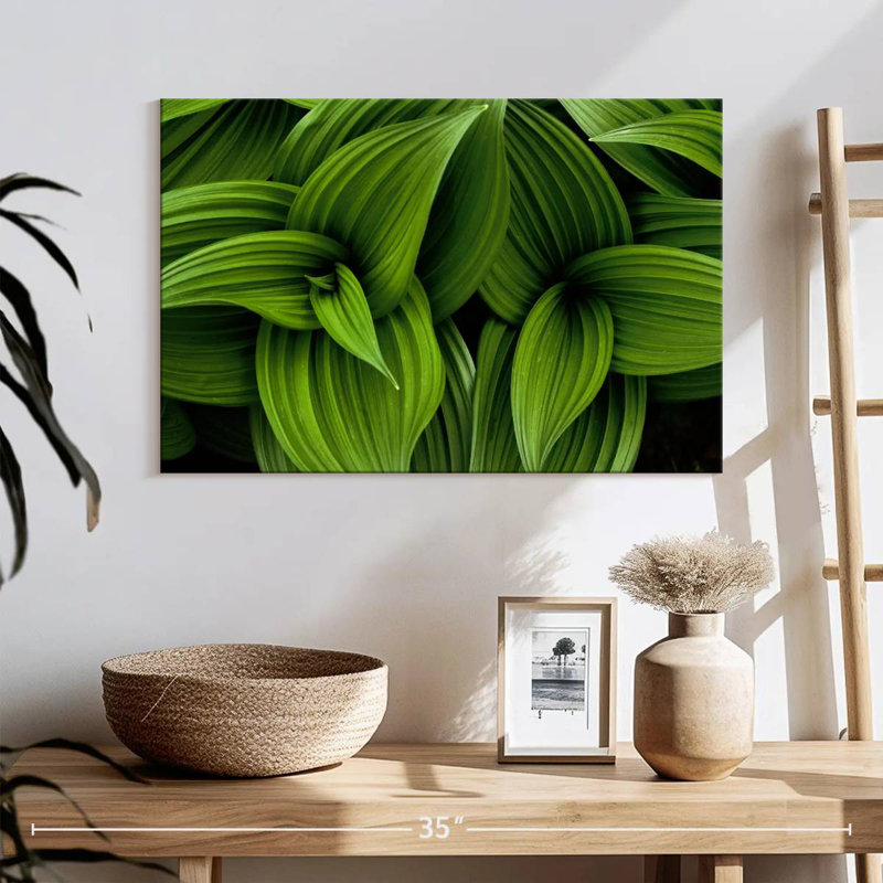 Harnek Green False Hellebore, 16" H x 24" W