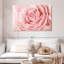 Rose fraîche Harnek-107471640